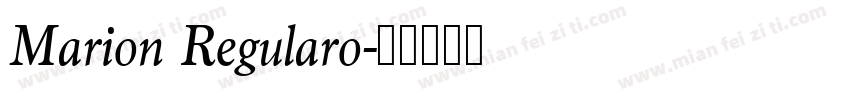 Marion Regularo字体转换